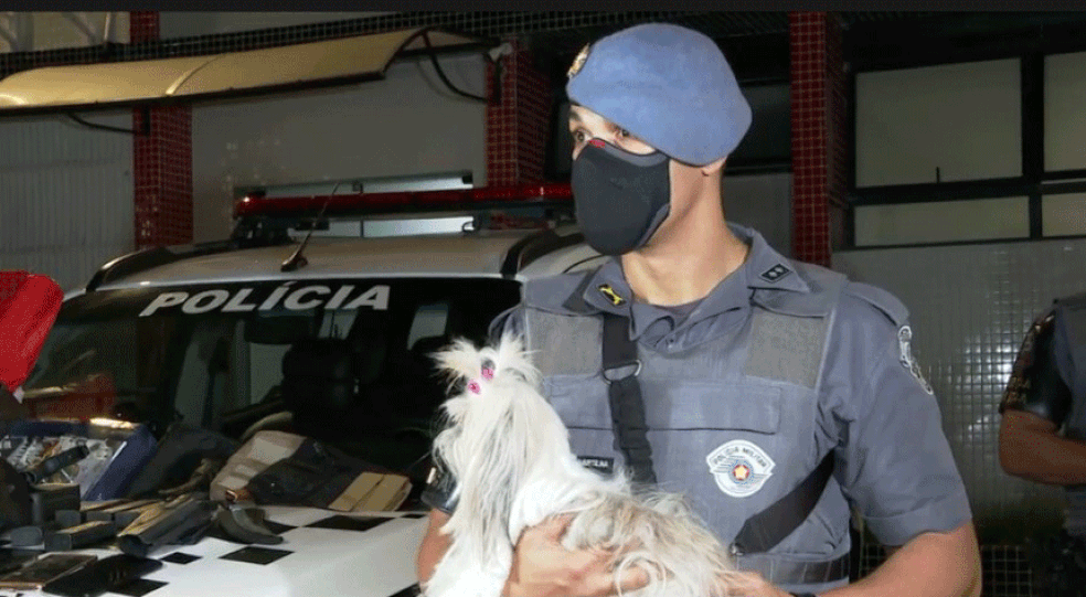 Casal usa cachorro como ‘disfarce’ para esconder bolsa com pistola de mira laser e munição de fuzil; homem e mulher foram presos