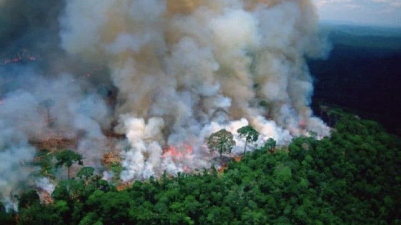Nos 2 primeiros meses de Lula, Amazônia teve 487 mil hectares queimados