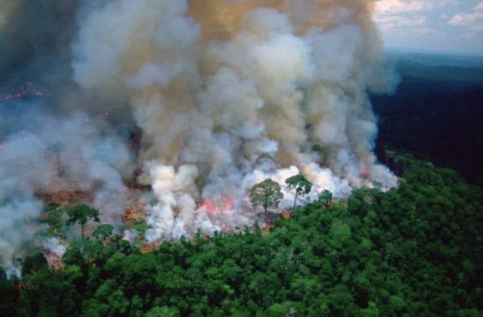 Nos 2 primeiros meses de Lula, Amazônia teve 487 mil hectares queimados